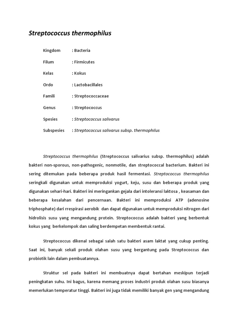 Manfaat dan Fungsi Streptococcus thermophilus | PDF