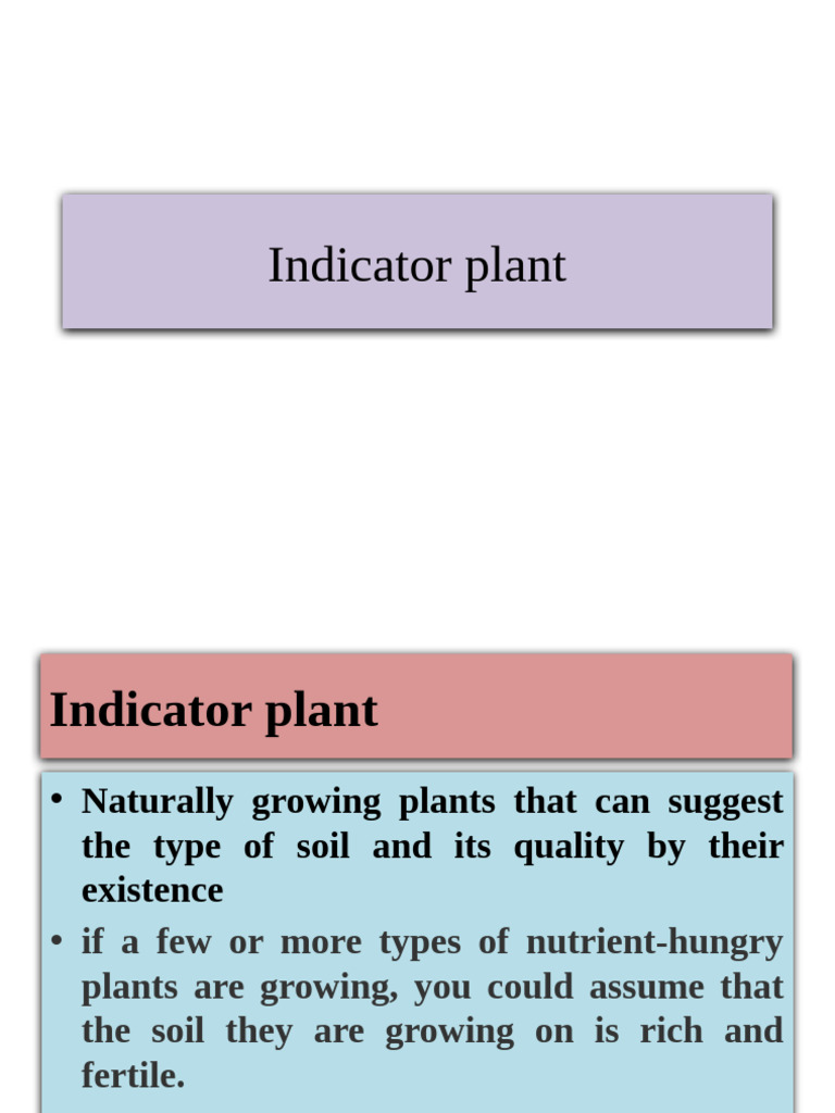 Understanding Indicator Plants in Soil | PDF | Earth Sciences | Botany
