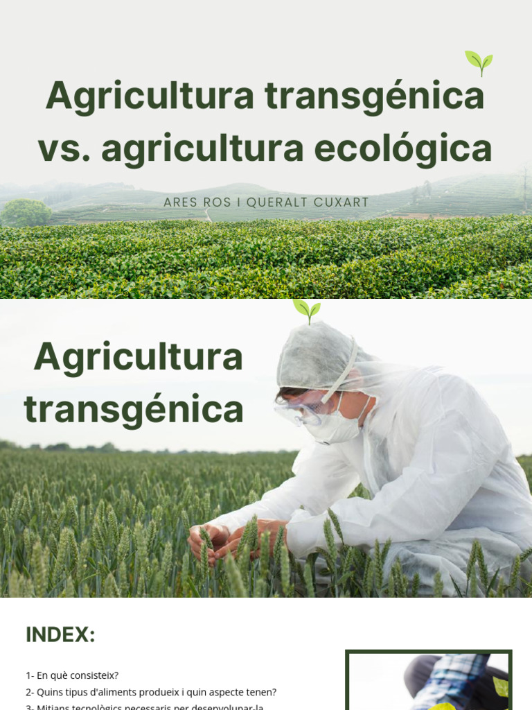 Agricultura Transgénica vs. Agricultura Ecológica | PDF