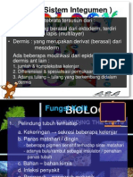 Sistem Integumen Biologi Dasar, Kelompok 8