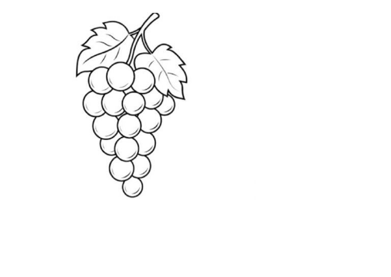 Grapes | PDF