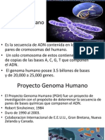 proyecto genoma humano