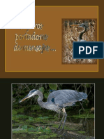 Pájaros Port Adores de Mensajes