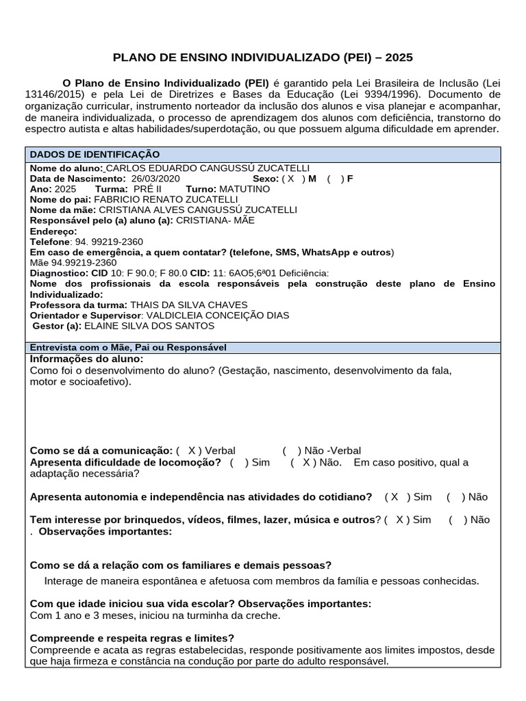 Plano de Ensino Individualizado 2025 | PDF | Aprendizado | Pedagogia