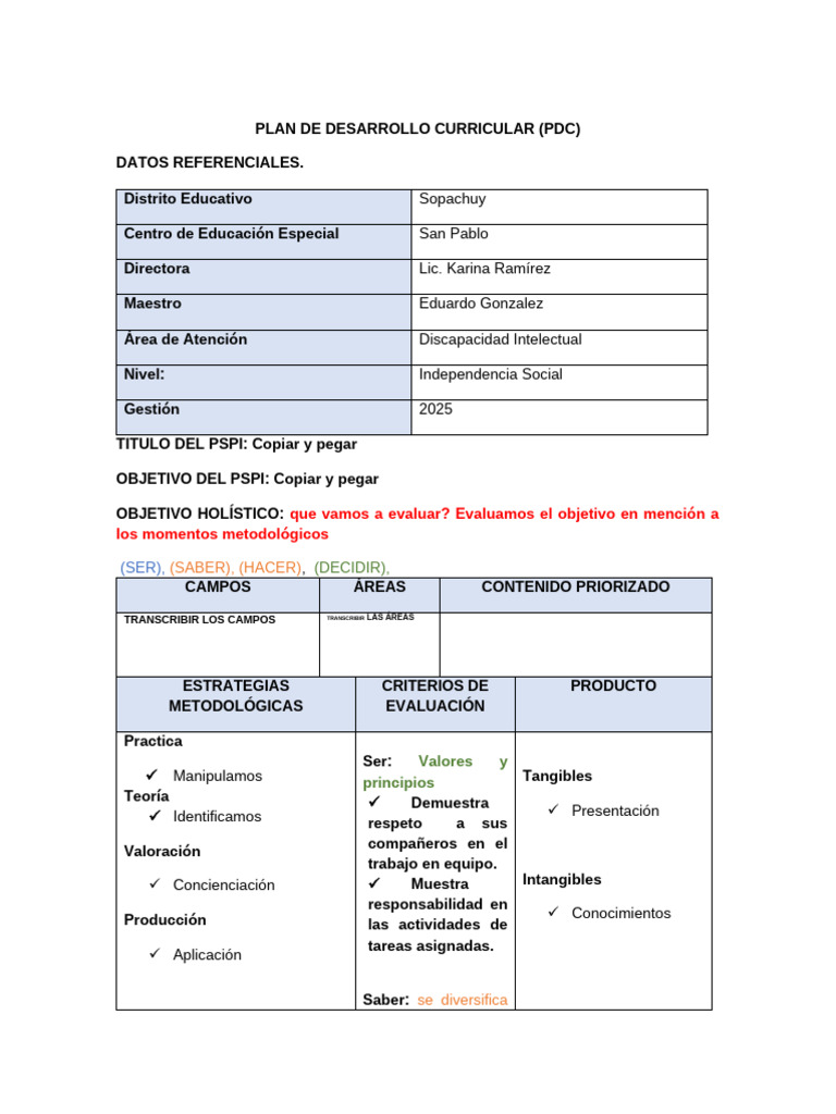 Plan de Desarrollo Curricular 2025 | PDF | Plan de estudios | Aprendizaje