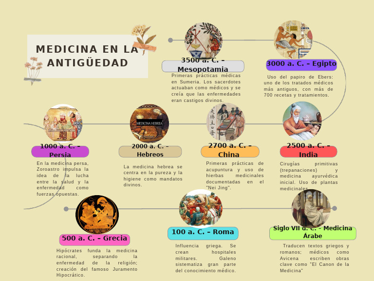 Grey Playful Creative Prehistory Timeline Graph | PDF | Medicina