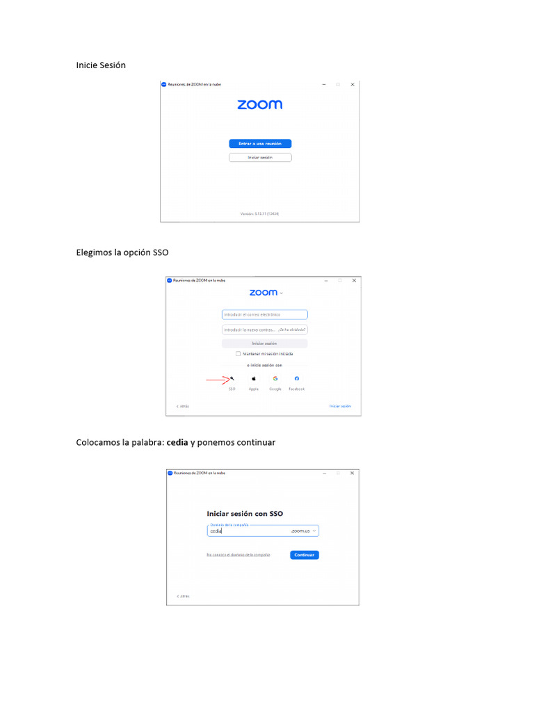 Instrucciones para Iniciar Sesión en Zoom | PDF