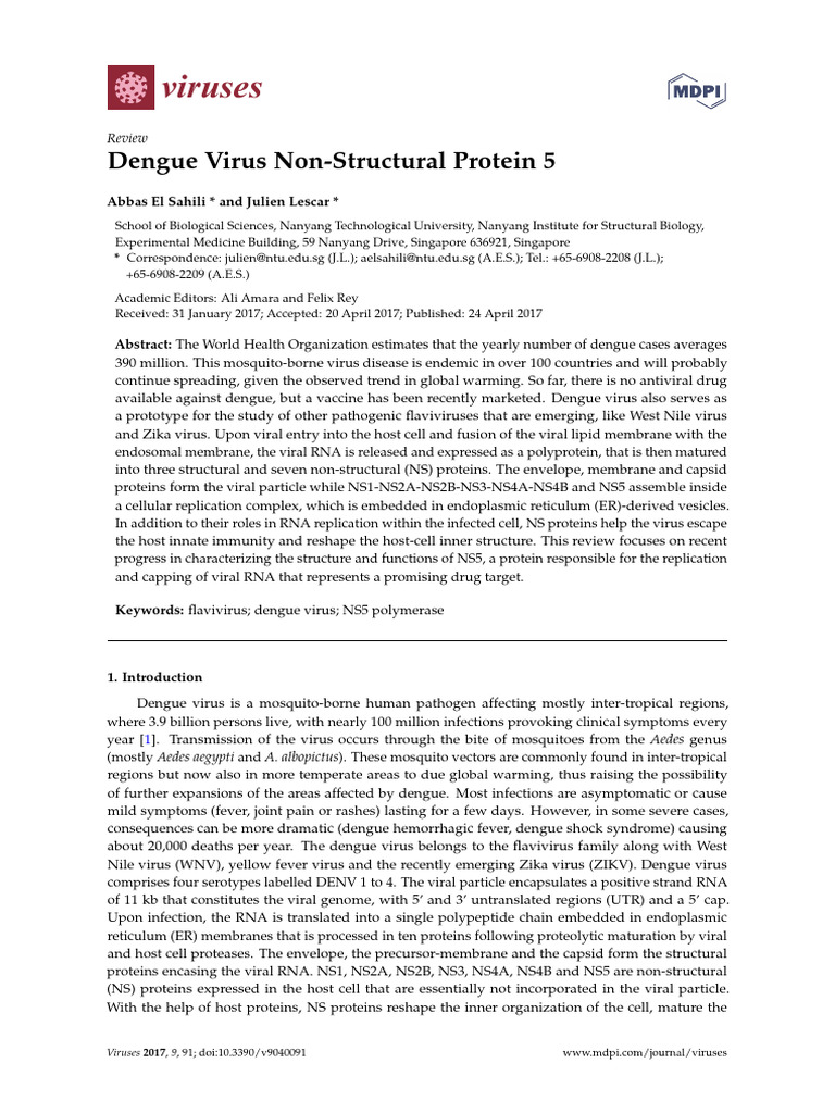 Insights on Dengue Virus NS5 Protein | PDF | Virus | Rna