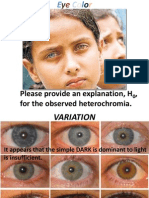 Eye Color Power Point - Genetics Exam 1