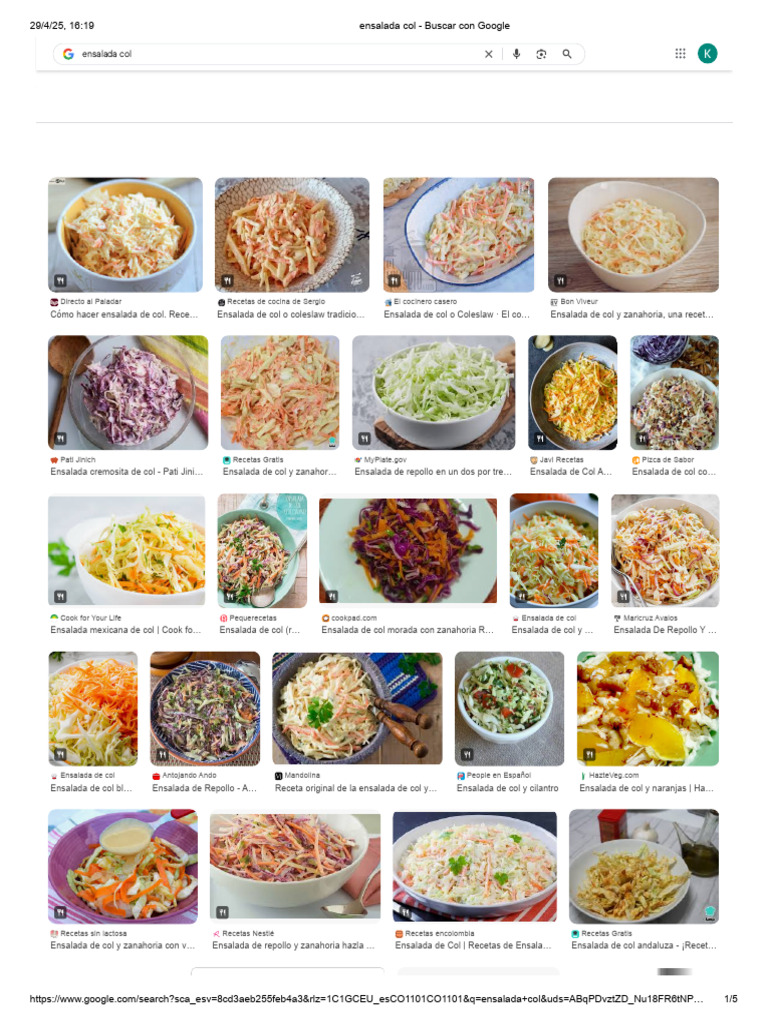 Recetas de Ensalada de Col Variadas | PDF | ensalada | Ensalada de col