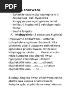 Iyini Inkondlo | PDF