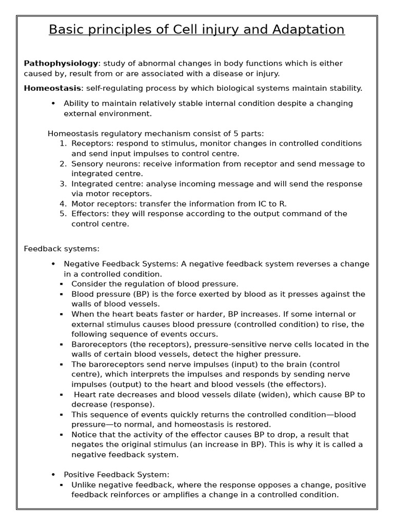 Basic Principles of Cell Injury and Adaptation | PDF | Mitochondrion ...