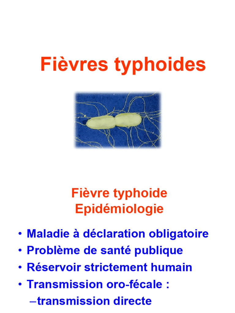 Épidémiologie de la fièvre typhoïde | PDF | Salmonelle | Spécialités ...