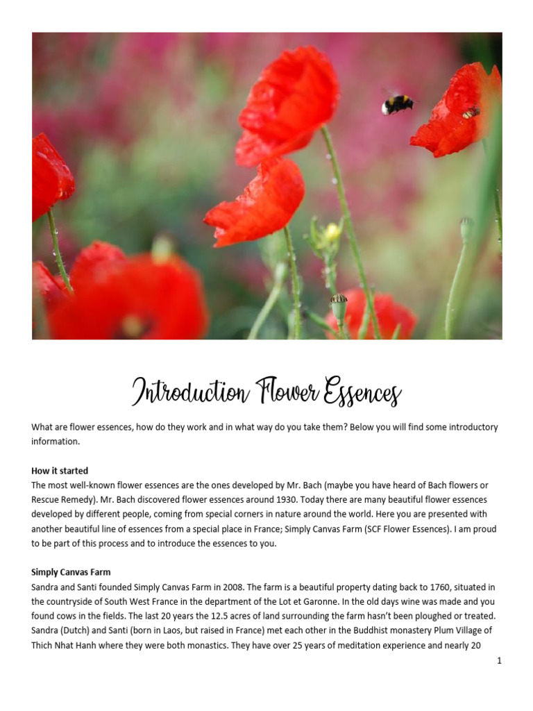Introduction Flower Essences (Article) Autor Simply Canvas Farm - Let ...