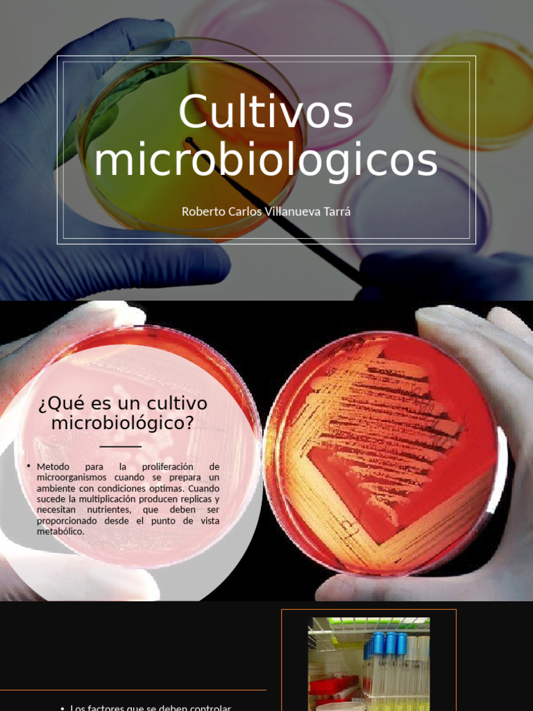 Cultivos Microbianos | PDF | Microorganismo | Biología