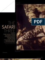The Safari Three