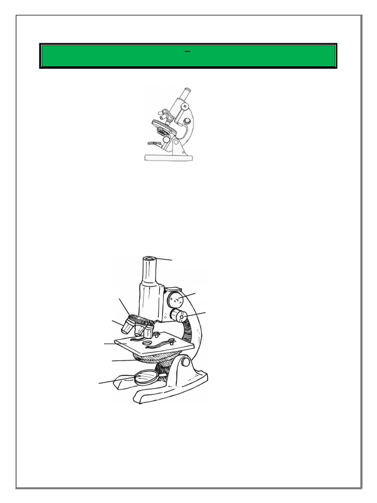 Microscope Knowledge Quiz and Activities | PDF | Glass Engineering And ...
