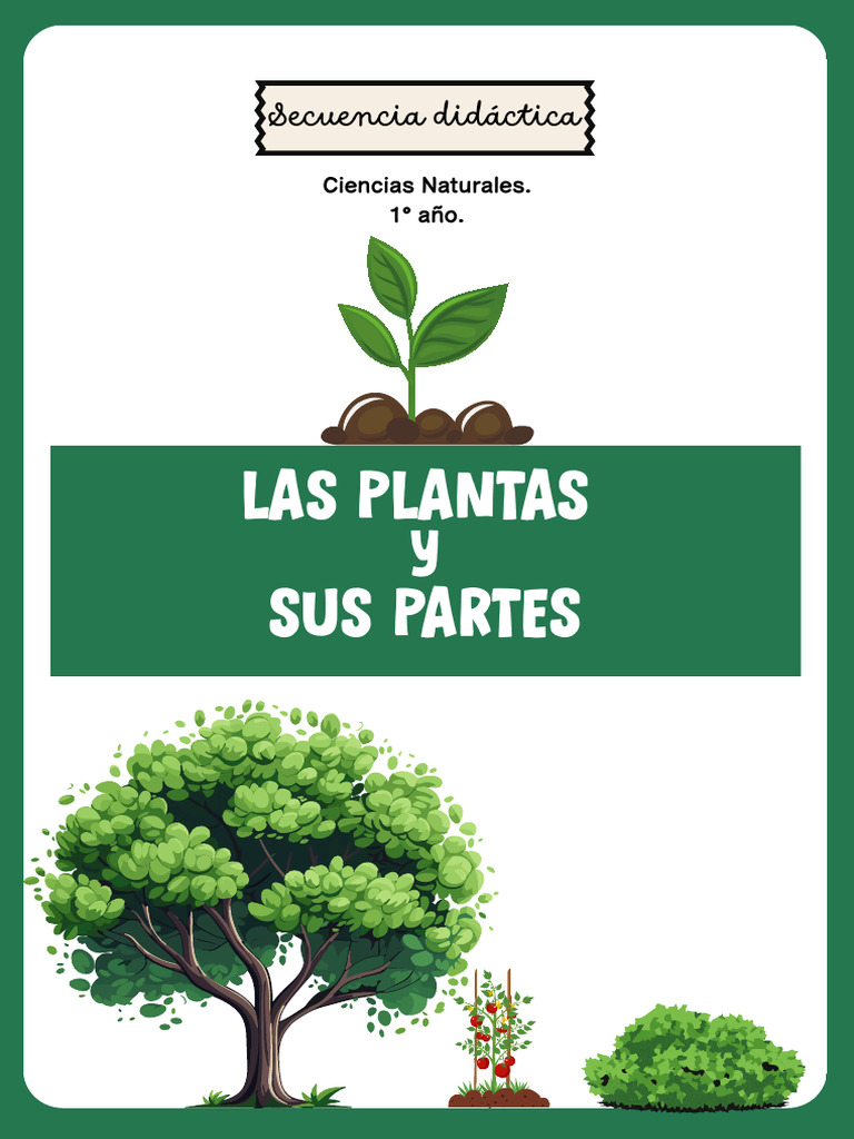Secuencia Didáctica: Plantas para 1° Grado | PDF | Tallo de la planta ...
