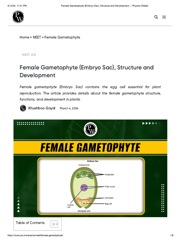 Female Gametophyte Structure & Development | PDF | Fertilisation | Seed