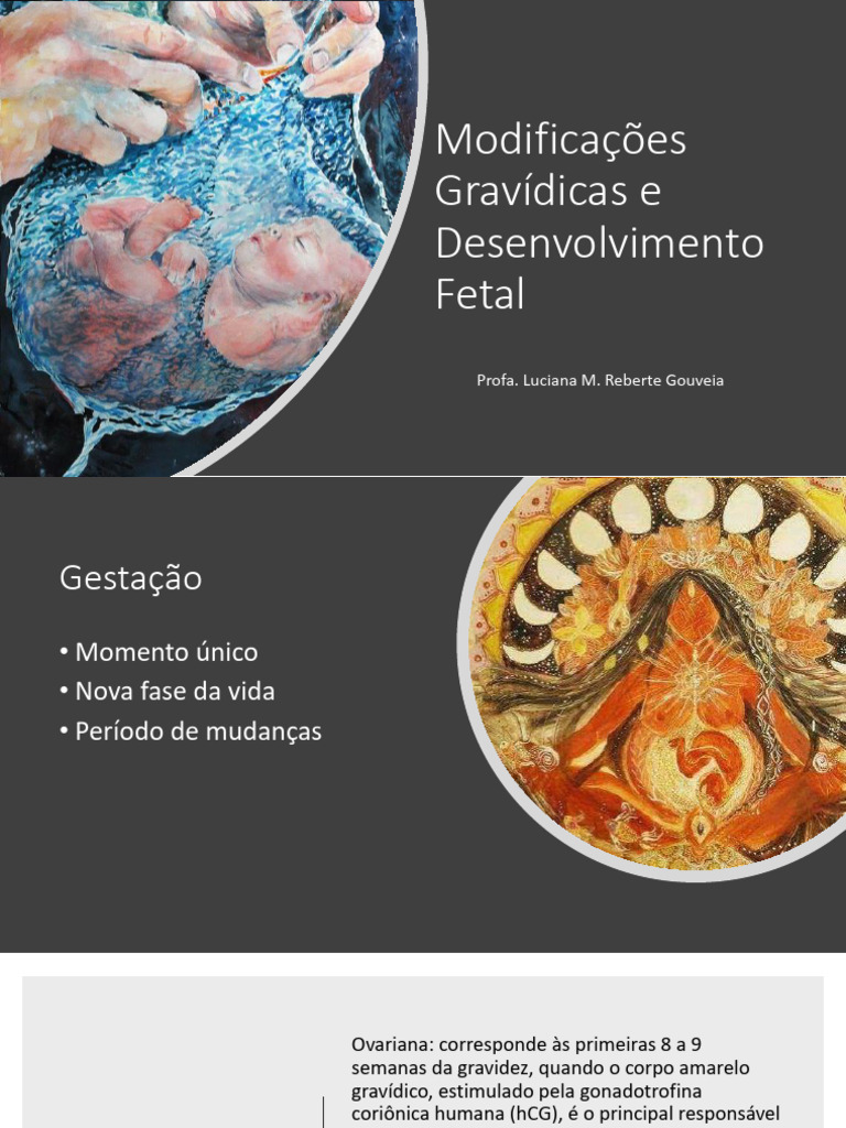 Modificações na Gestação e Desenvolvimento Fetal | PDF | Gravidez ...