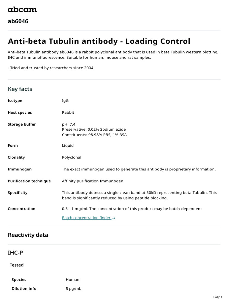 Beta Tubulin Antibody Loading Control Ab6046 | PDF | Western Blot ...