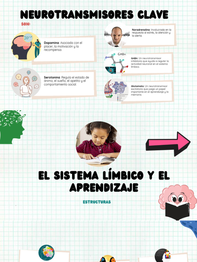 Neurotransmisores y el sistema límbico | PDF | Las emociones | Amígdala