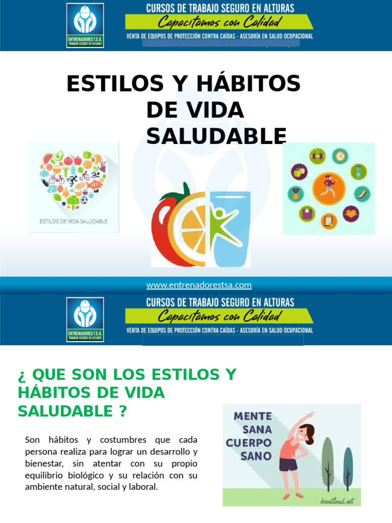 Habitos y Estilos de Vida Saludable | PDF | Depresión (estado de ánimo)