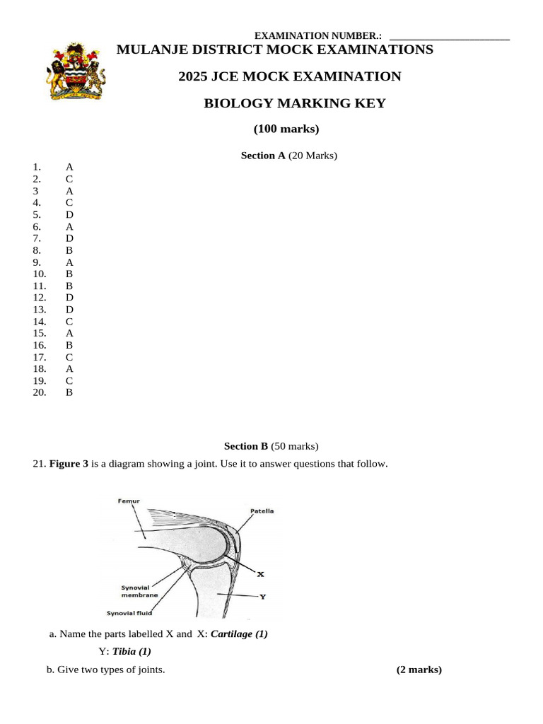 2025 Biology Mock Exam Marking Key | PDF | Human Body | Blood
