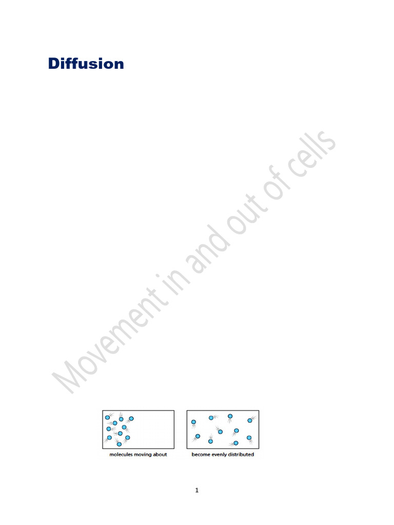 Movement Into and Out of Cells | PDF | Osmosis | Diffusion