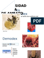 Blefaritis X Demodex