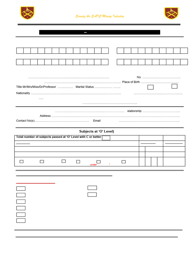 Zimbabwe School of Mines Application Form | PDF