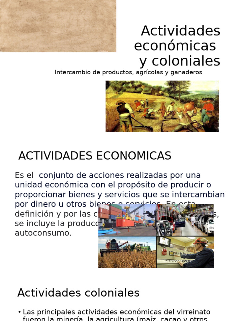 Actividades Económicas Coloniales | PDF | Agricultura | Oveja