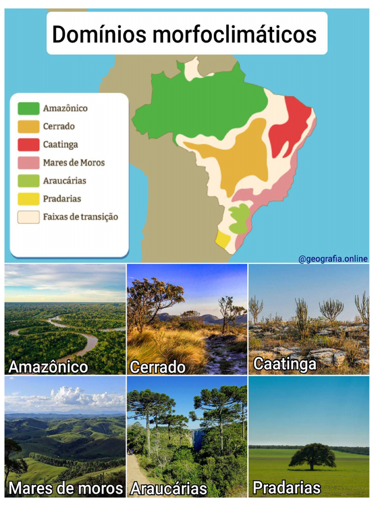 Domínios Morfoclimáticos do Brasil | PDF