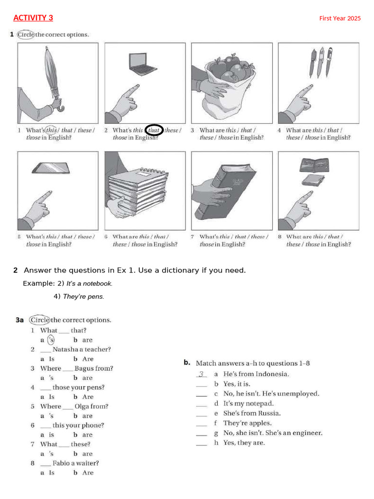 Activity 3 | PDF