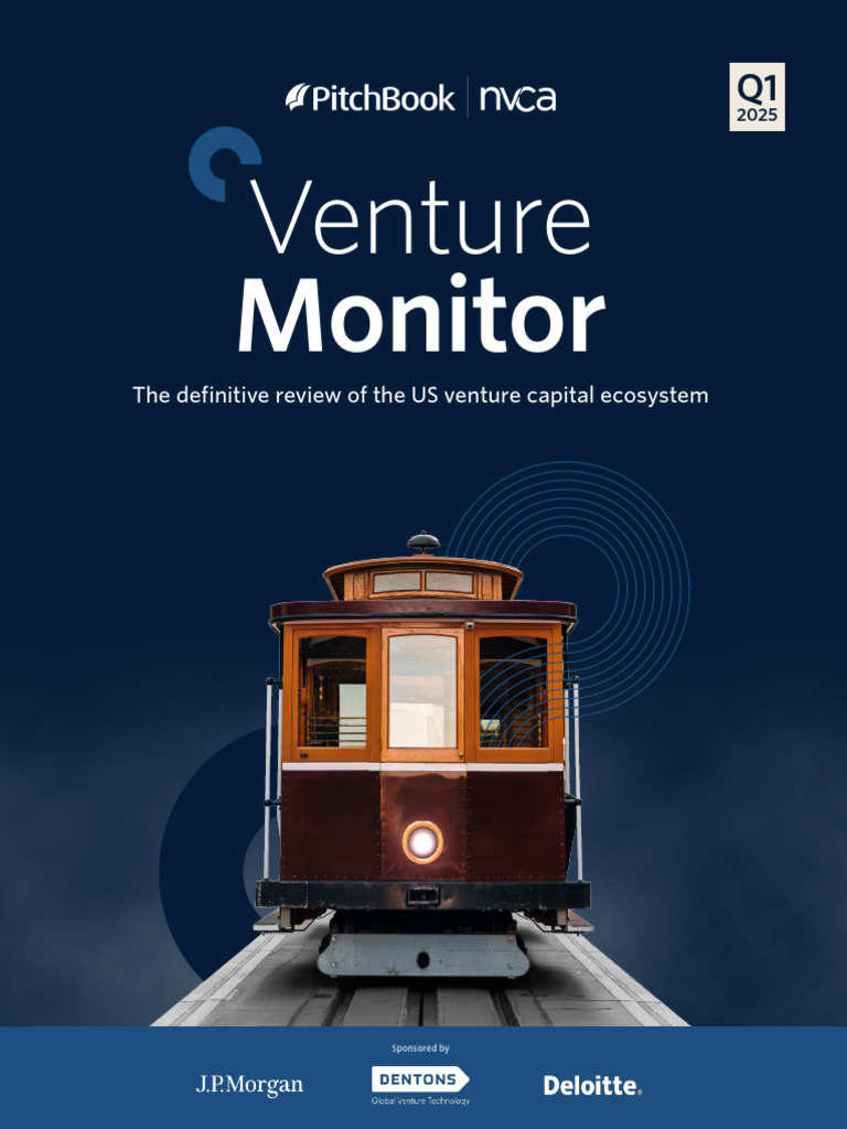 Q1 2025 Venture Capital Insights | PDF | Venture Capital | Corporate ...