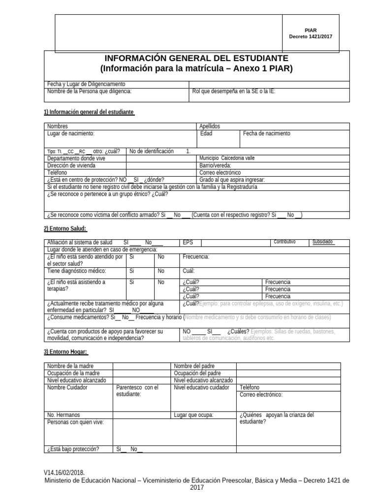 Formato Piar en Blanco | PDF | Educación de la primera infancia