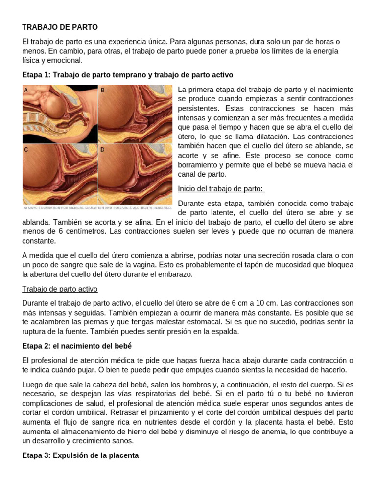 Parto: Etapas y Contracciones Uterinas | PDF | Parto | Periodo posparto