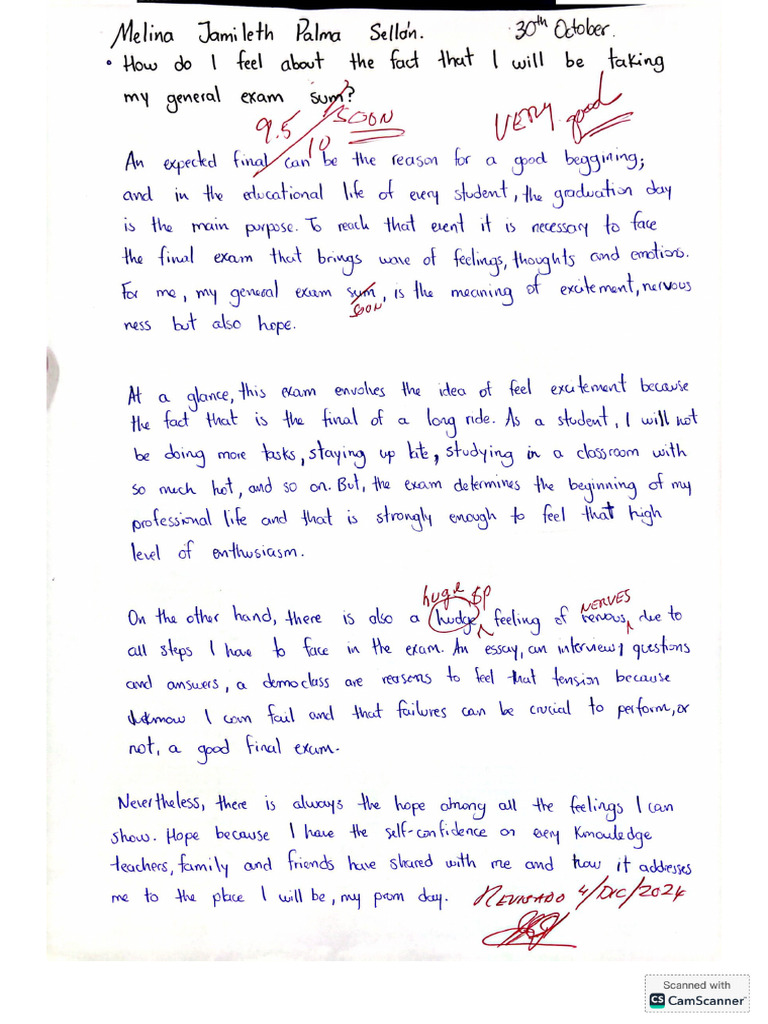 Essay Sample | PDF
