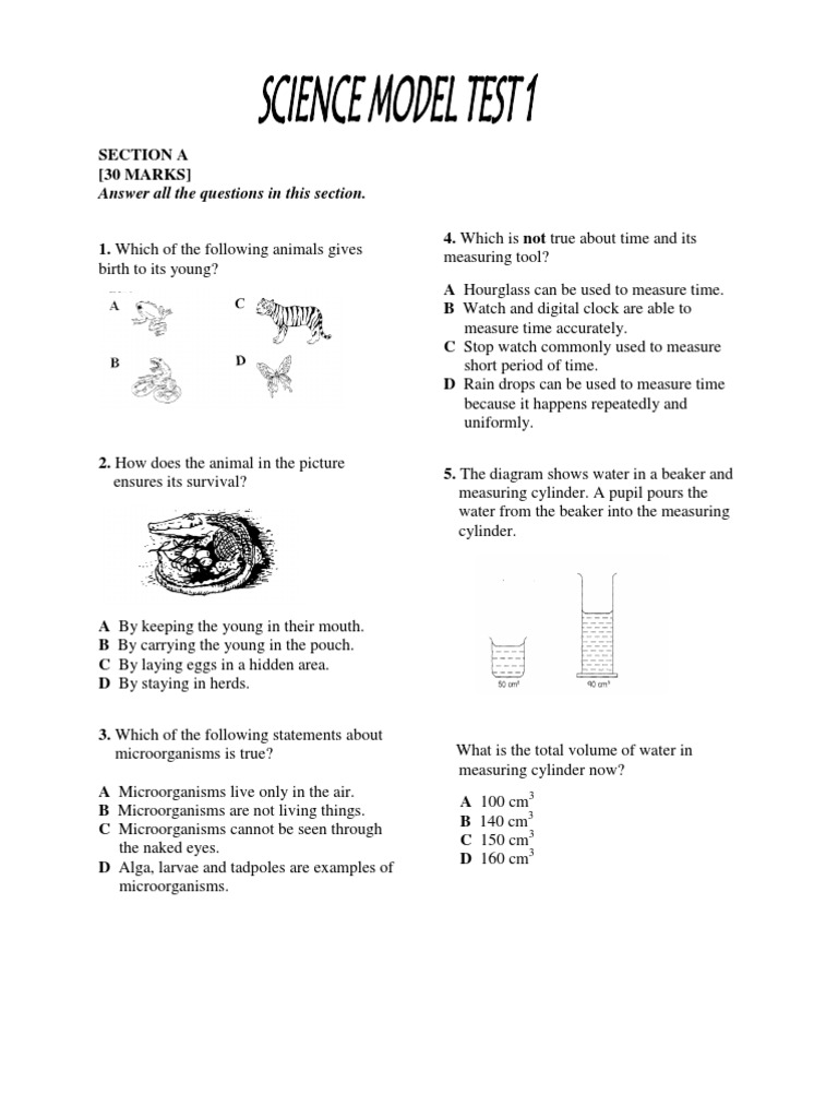 Secta AI Login Instructions | PDF | Earth | Planets