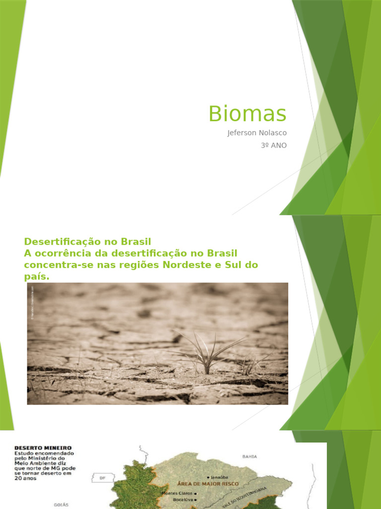 Desertificação e Biomas no Brasil | PDF | Mangue | Florestas
