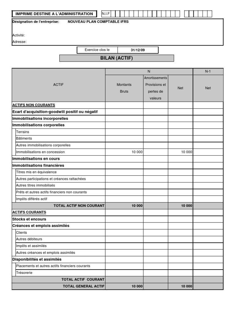 LIASSE_FISCALE_2010-2 | Immobilisations | Capitaux propres