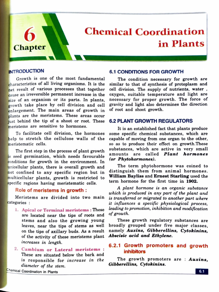 X Chemical Coordination in Plants Candid | PDF | Auxin | Plant Hormone