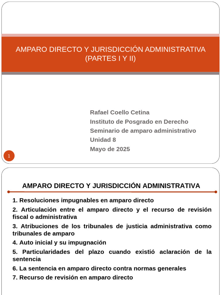 Amparo Directo y Jurisdicción Administrativa Partes I y Ii Ip 2025 ...