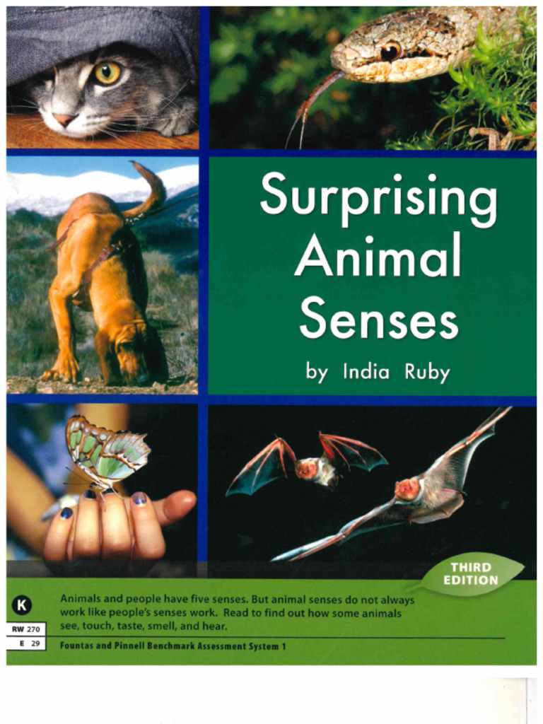 (K) Surprising Animal Senses (NF) | PDF