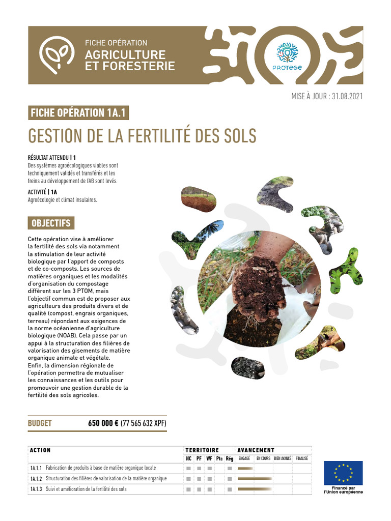 Gestion durable de la fertilité des sols | PDF | Compost | Fertilisant