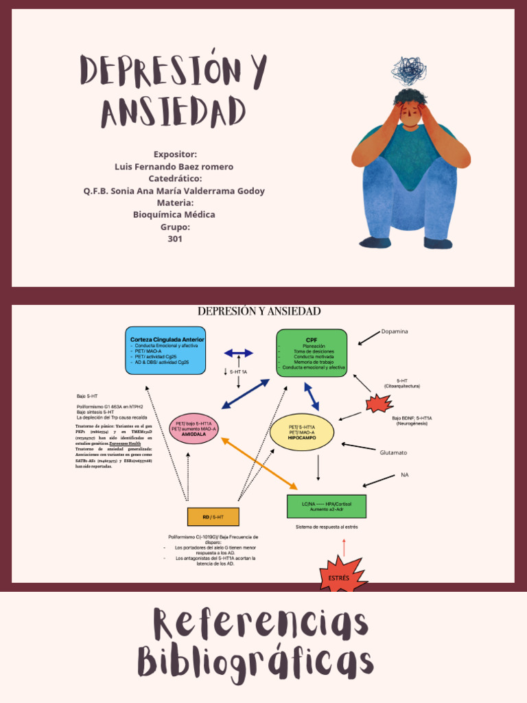 Depresión y Ansiedad | PDF