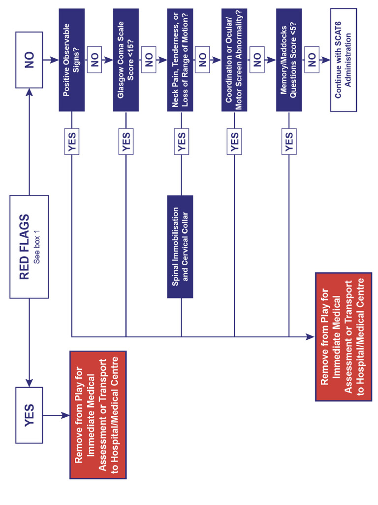 Concussion Pathway | PDF