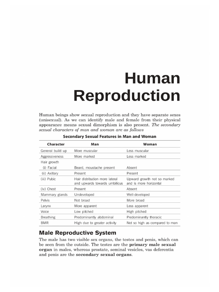 Human Rep. (Project File) | PDF