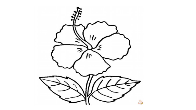 Roha Bunga Raya | PDF
