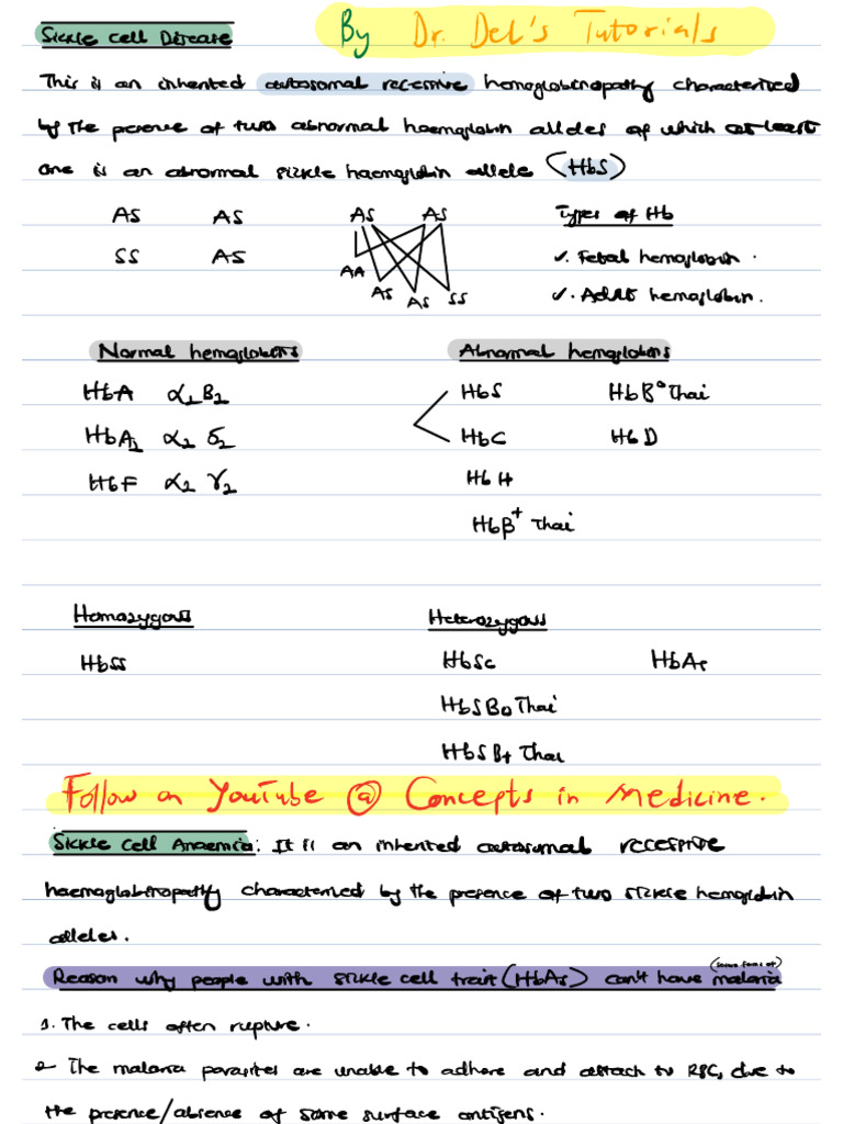 Understanding Sickle Cell Disease Basics | PDF | Hematology | Diseases ...